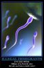 Sperm.jpg