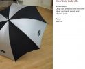 umbrella idea.JPG