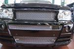 Front Grill mit adaptive 2.jpg