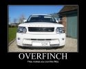 Overfinch-cool.jpg