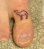 camel-toe.jpg
