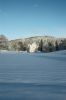 DSC_3431_sml.jpg