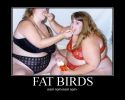 fat-birds.jpg