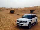 RRS in dunes.jpg
