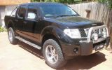 Navara D40.jpg