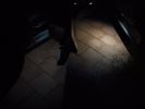 Filename : Puddle 2.jpg
Filesize : 81KB
Dimensions : 1280x960
Date added : Nov 27, 2017 Puddle 2.jpg
