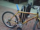 dildo bike.jpg