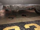 oil leak.jpg
