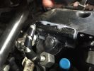 Filename : IMG_6287.JPG
Filesize : 173KB
Dimensions : 1280x960
Date added : Jan 01, 2017 IMG_6287.JPG