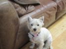 Filename : BETSY (2).jpg
Filesize : 67KB
Dimensions : 640x480
Date added : Mar 25, 2014 BETSY (2).jpg