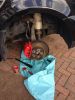 Filename : image~5.jpg
Filesize : 208KB
Dimensions : 960x1280
Date added : Oct 27, 2013 image~5.jpg