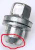 Filename : new nuts_2.jpg
Filesize : 26KB
Dimensions : 250x357
Date added : Nov 23, 2013 new nuts_2.jpg