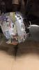 Filename : IMG_1633~0.jpg
Filesize : 79KB
Dimensions : 540x960
Date added : Feb 23, 2016 IMG_1633~0.jpg