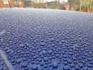 Filename : beeding.jpg
Filesize : 81KB
Dimensions : 639x479
Date added : Aug 07, 2014 beeding.jpg