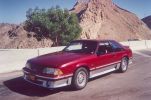 Mustang 1.jpg
