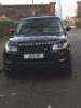 Filename : Rangie 4~0.JPG
Filesize : 47KB
Dimensions : 480x640
Date added : Dec 25, 2014 Rangie 4~0.JPG