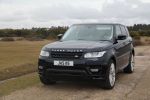 Rangie in New Forest 3.JPG