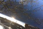 Filename : IMG_0604.jpg
Filesize : 172KB
Dimensions : 1024x683
Date added : Apr 21, 2016 IMG_0604.jpg