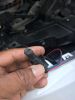 Filename : thumb_IMG_1356_1024.jpg
Filesize : 65KB
Dimensions : 720x960
Date added : May 29, 2016 thumb_IMG_1356_1024.jpg