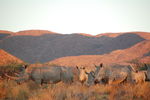 Filename : TK 20201101_184036.jpg
Filesize : 164KB
Dimensions : 1442x959
Date added : Nov 07, 2020 TK 20201101_184036.jpg
