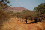 Filename : TK 20201102_172633.jpg
Filesize : 247KB
Dimensions : 1442x959
Date added : Nov 07, 2020 TK 20201102_172633.jpg