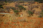 Filename : TK 20201104_083012.jpg
Filesize : 234KB
Dimensions : 1442x959
Date added : Nov 07, 2020 TK 20201104_083012.jpg