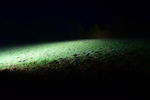 Filename : DSC_0007.JPG
Filesize : 122KB
Dimensions : 1439x959
Date added : Oct 09, 2020 DSC_0007.JPG