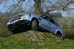 Filename : DSC_0037.JPG
Filesize : 505KB
Dimensions : 1439x959
Date added : Apr 10, 2020 DSC_0037.JPG