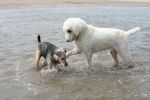 IMG_4257~0.JPG
