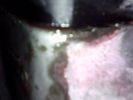 20201012_132458.jpg