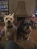 Filename : 44FD3662-6873-4D28-9276-A983C564FEDE.jpeg
Filesize : 71KB
Dimensions : 720x960
Date added : Feb 20, 2020 44FD3662-6873-4D28-9276-A983C564FEDE.jpeg