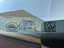 IMG_0118.jpeg