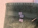 IMG_8387.jpeg